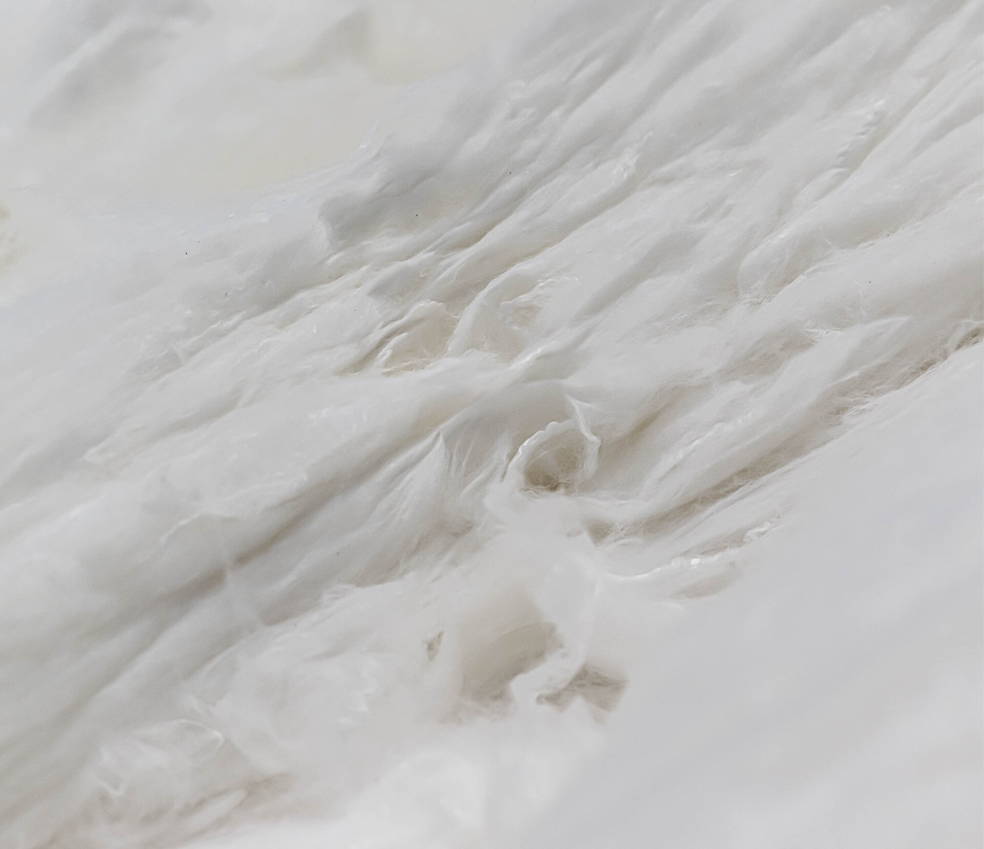 Close-up of fibers Basis of nonwoven | Sandler Group 
