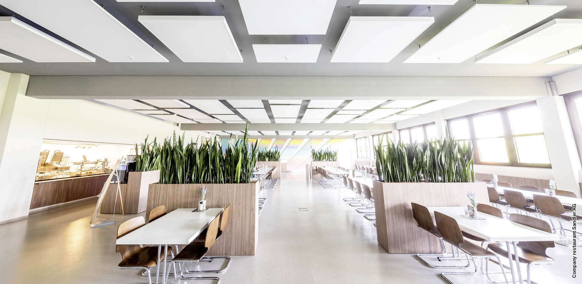 Highlight bluefiber | Sandler Group