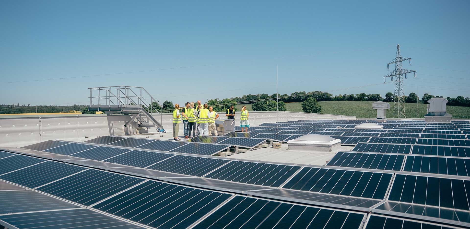 Sustainable Future | Sandler Group